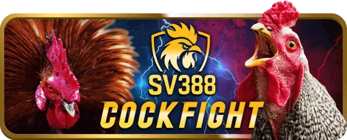 Trò chơi Poker momo88 code